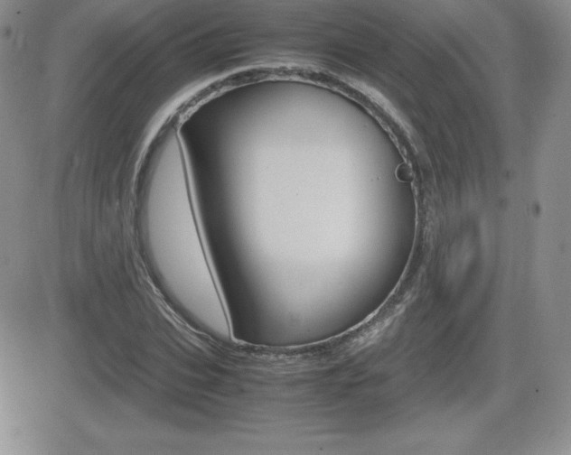 X0000082740927200701261027