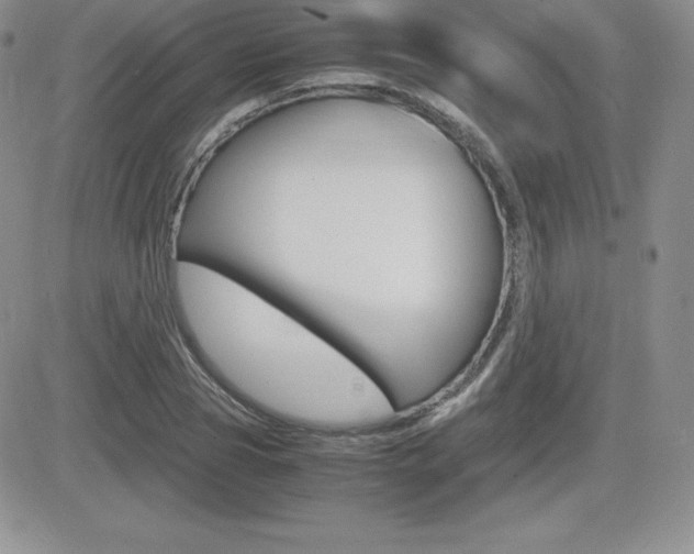 X0000082740929200701261027