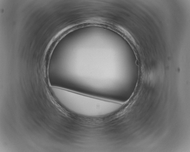 X0000082740931200701261027