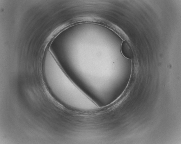X0000082740938200701261027