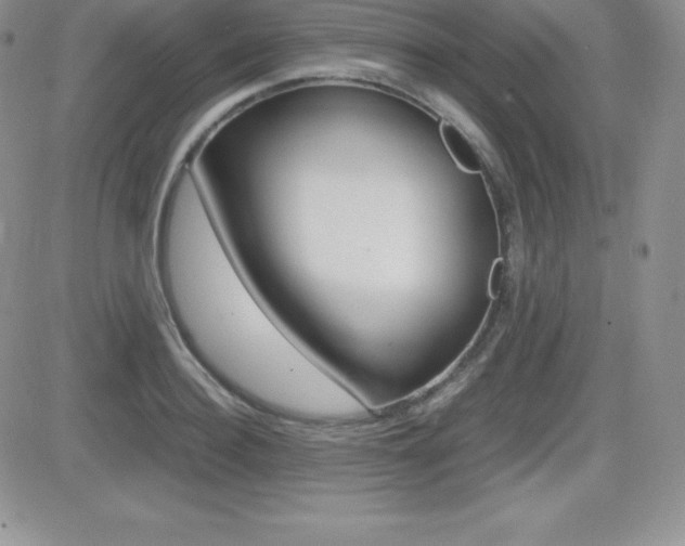 X0000082740940200701261027