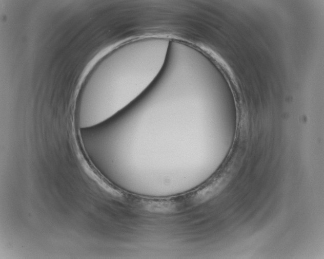 X0000082740941200701261027