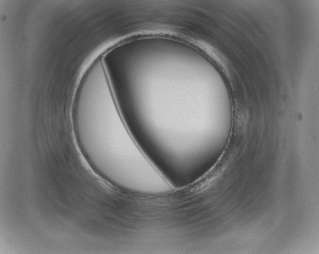X0000082740943200701261027