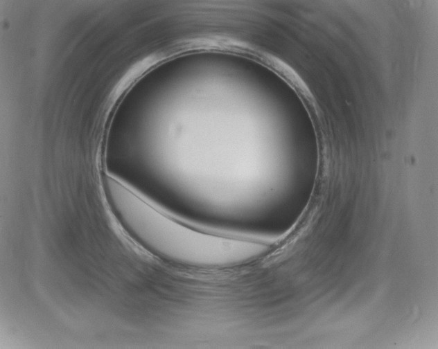 X0000082740946200701261027