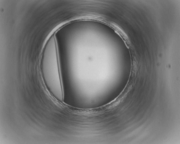 X0000082740948200701261027