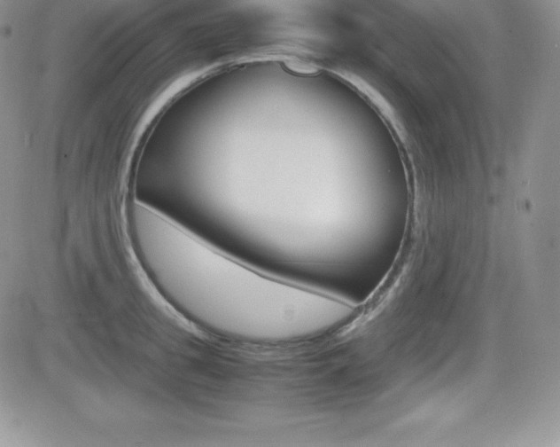 X0000082740949200701261027