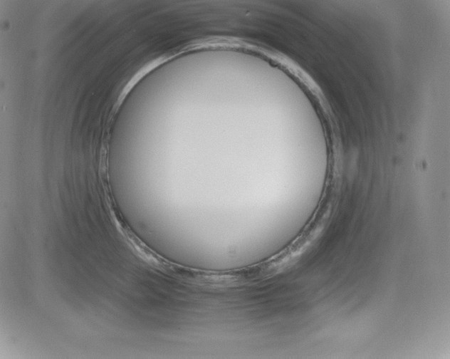 X0000082740953200701261027