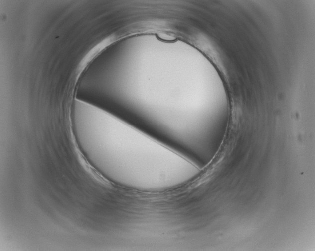 X0000082740954200701261027
