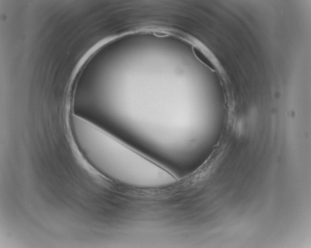 X0000082740955200701261027