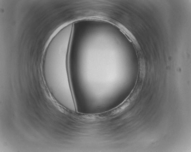 X0000082740956200701261027