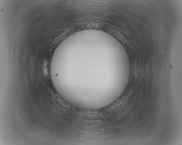 X0000082740962200701261026
