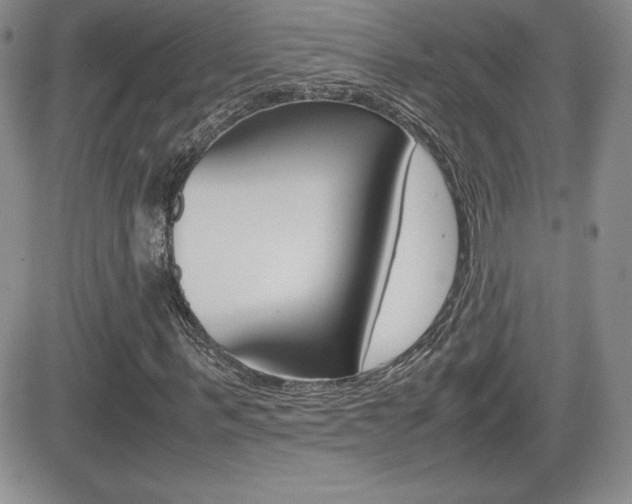 X0000082740963200701261026