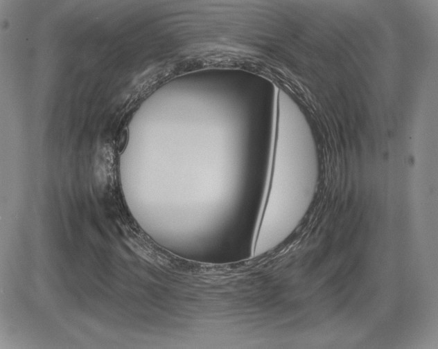 X0000082740964200701261026