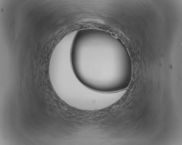 X0000082740965200701261026