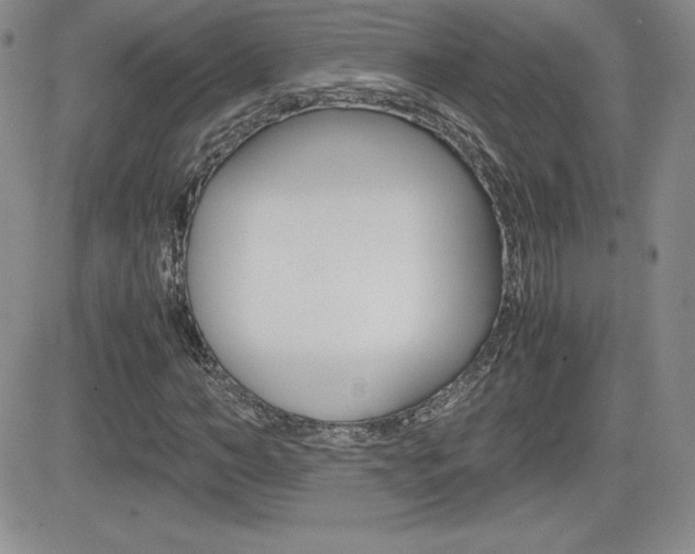 X0000082740966200701261026