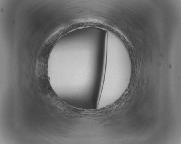 X0000082740967200701261026