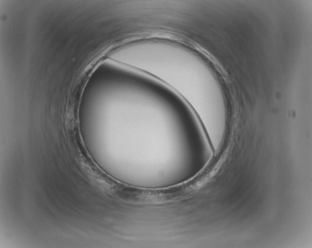 X0000082740977200701261026