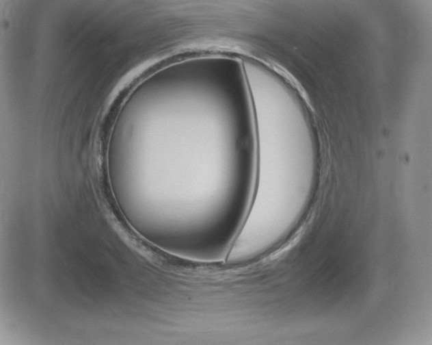 X0000082740981200701261026