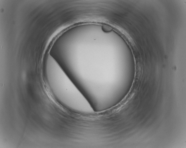 X0000082740982200701261026