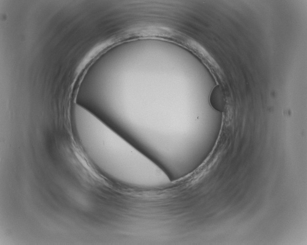 X0000082740986200701261026