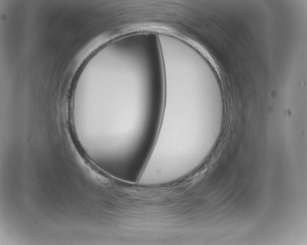 X0000082740999200701261026