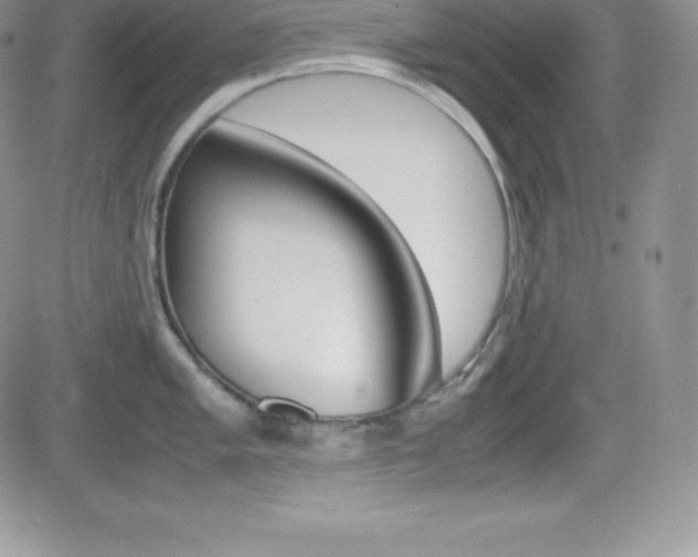 X0000082741005200701261026