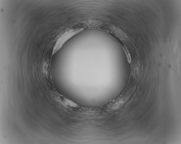 X0000082741010200701261025