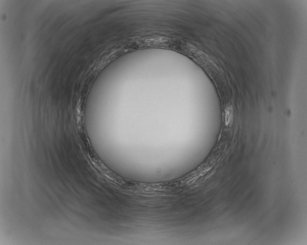 X0000082741011200701261025