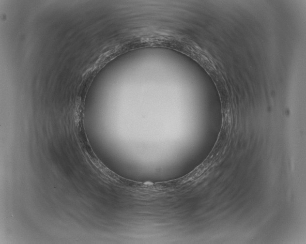 X0000082741012200701261025