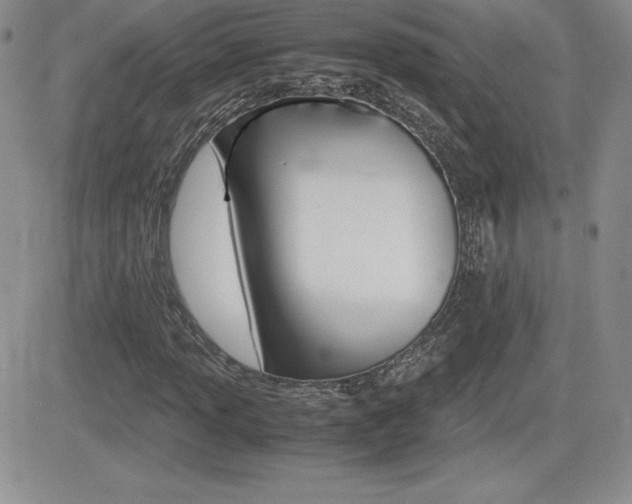 X0000082741013200701261025