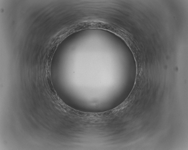 X0000082741014200701261025