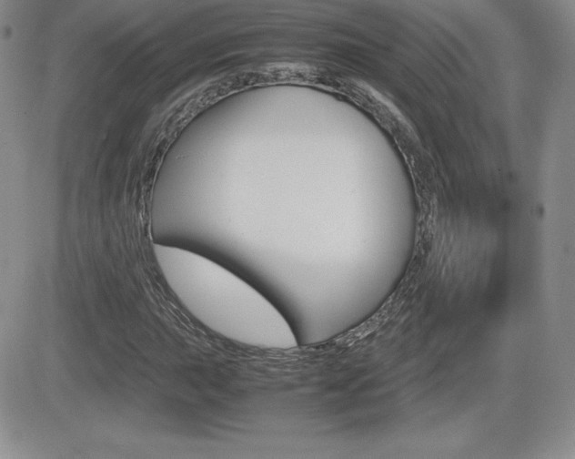 X0000082741015200701261025