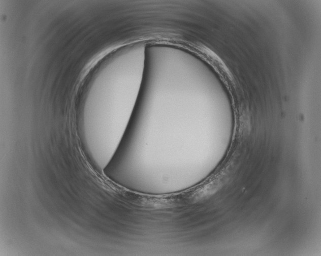 X0000082741019200701261025