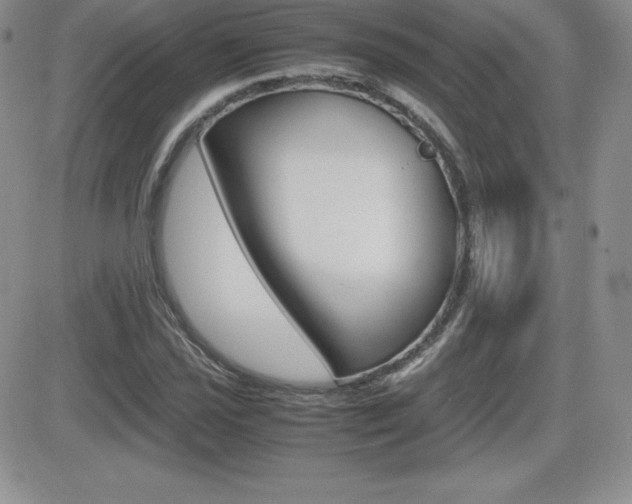 X0000082741021200701261025