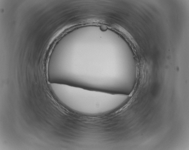 X0000082741023200701261025