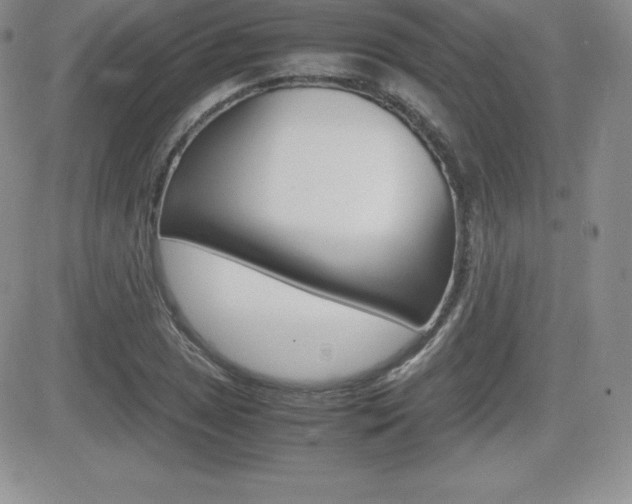 X0000082741025200701261025
