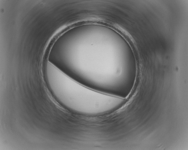 X0000082741029200701261025