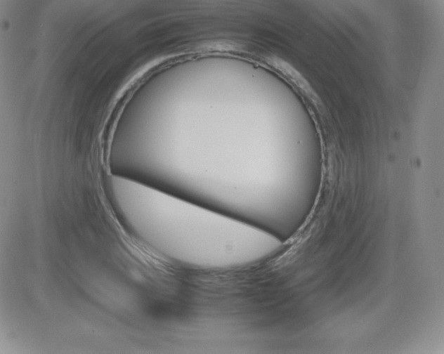 X0000082741031200701261025