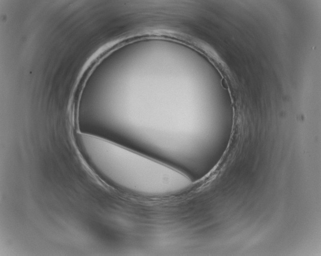 X0000082741032200701261025