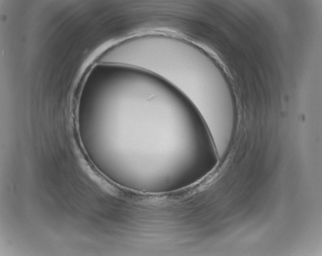 X0000082741038200701261025