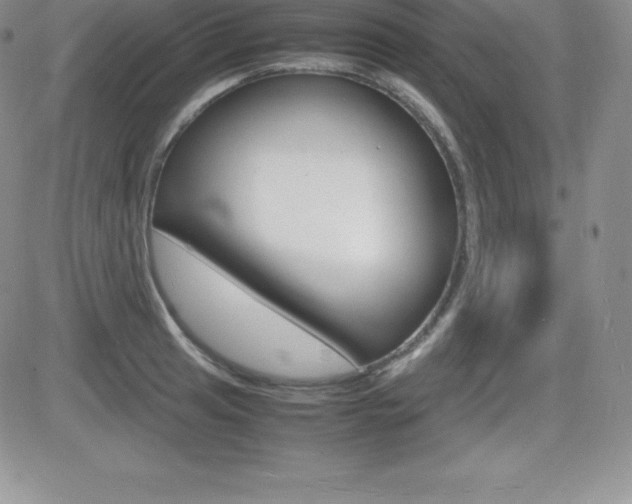 X0000082741041200701261025