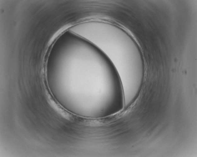 X0000082741042200701261025