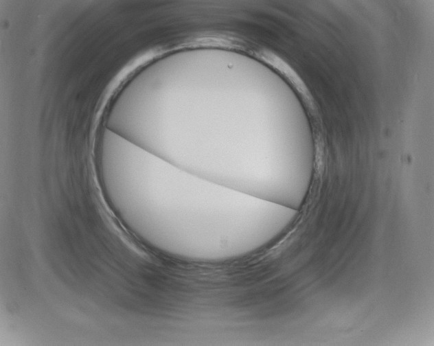 X0000082741043200701261025