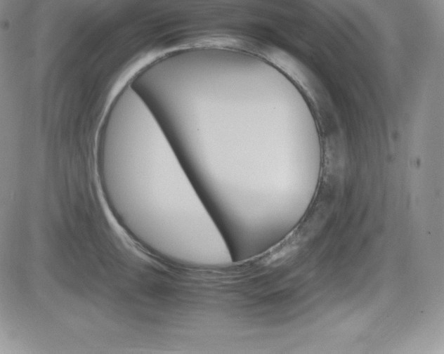 X0000082741047200701261026
