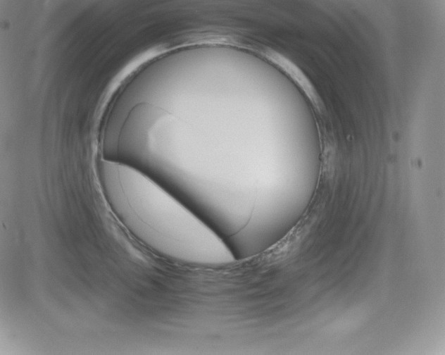 X0000082741051200701261026