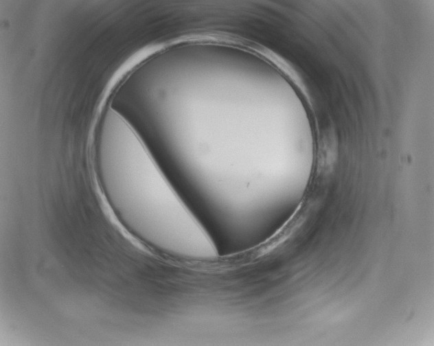 X0000082741053200701261026