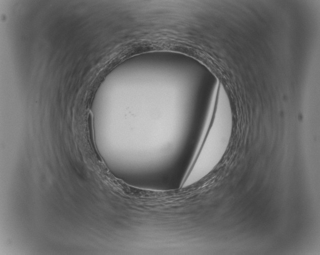 X0000082741057200701261025