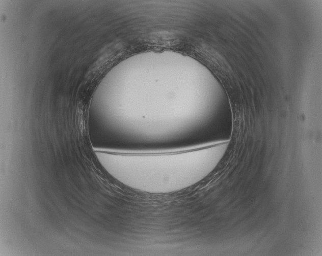 X0000082741058200701261025