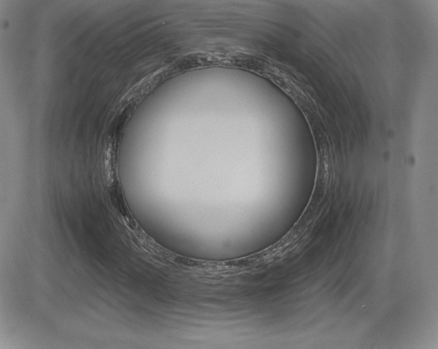 X0000082741060200701261025