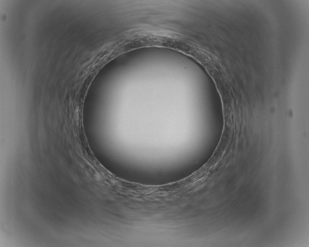 X0000082741061200701261025